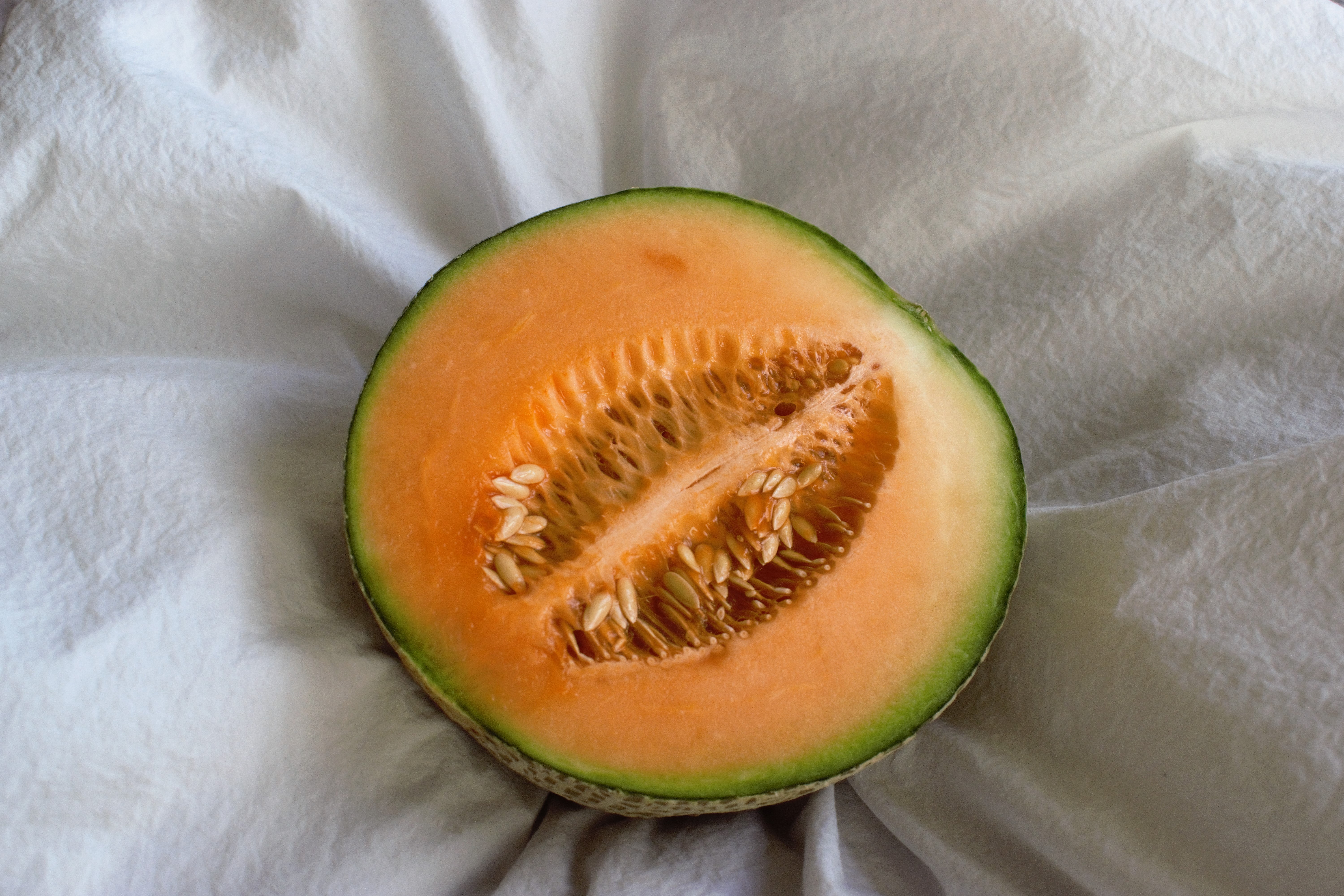 Action collective au Québec en lien avec la présence de la bactérie Salmonella sur des cantaloups