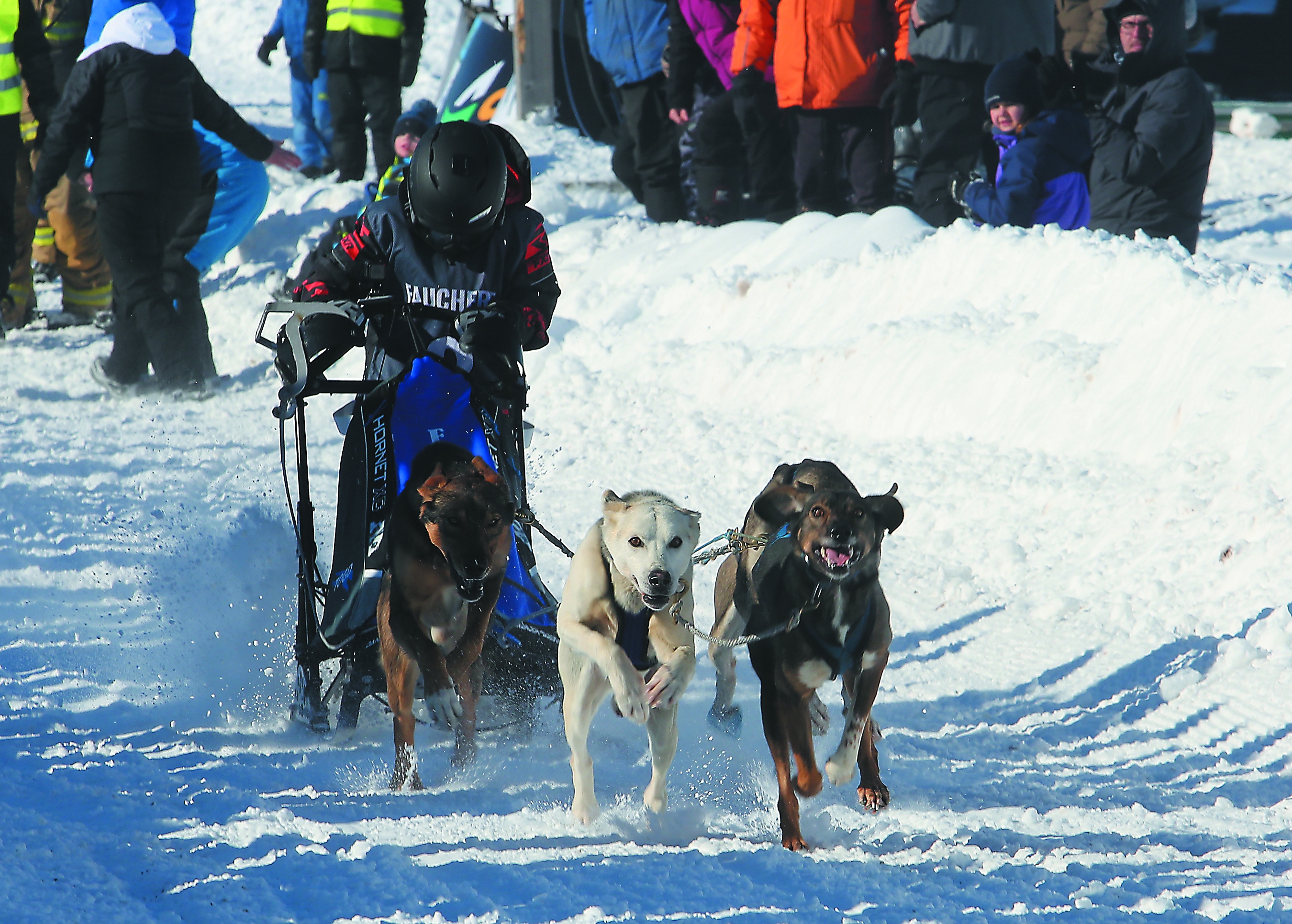Défi Lotbinière présenté dans le cadre du Carnaval de Québec