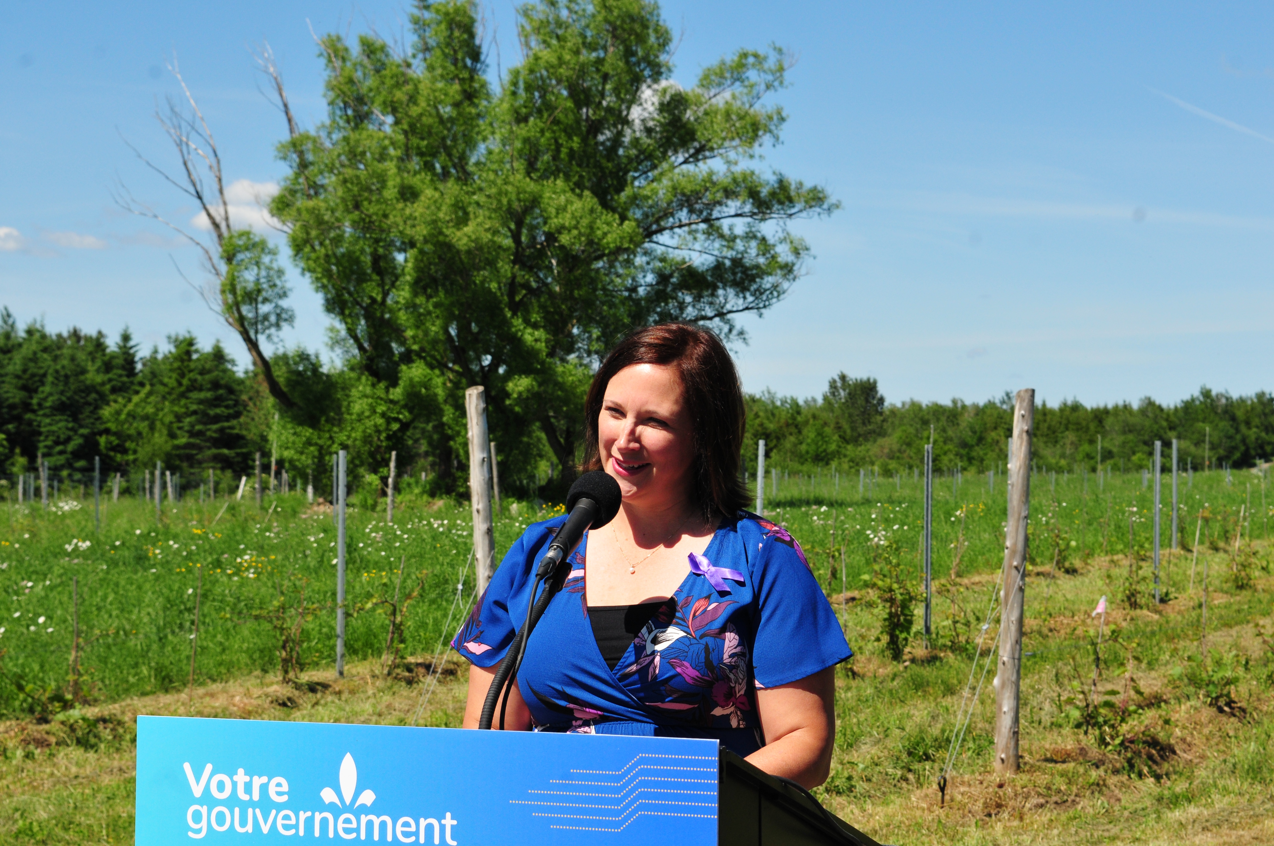 Isabelle Lecours ferme temporairement son bureau de Saint-Apollinaire après avoir reçu des menaces