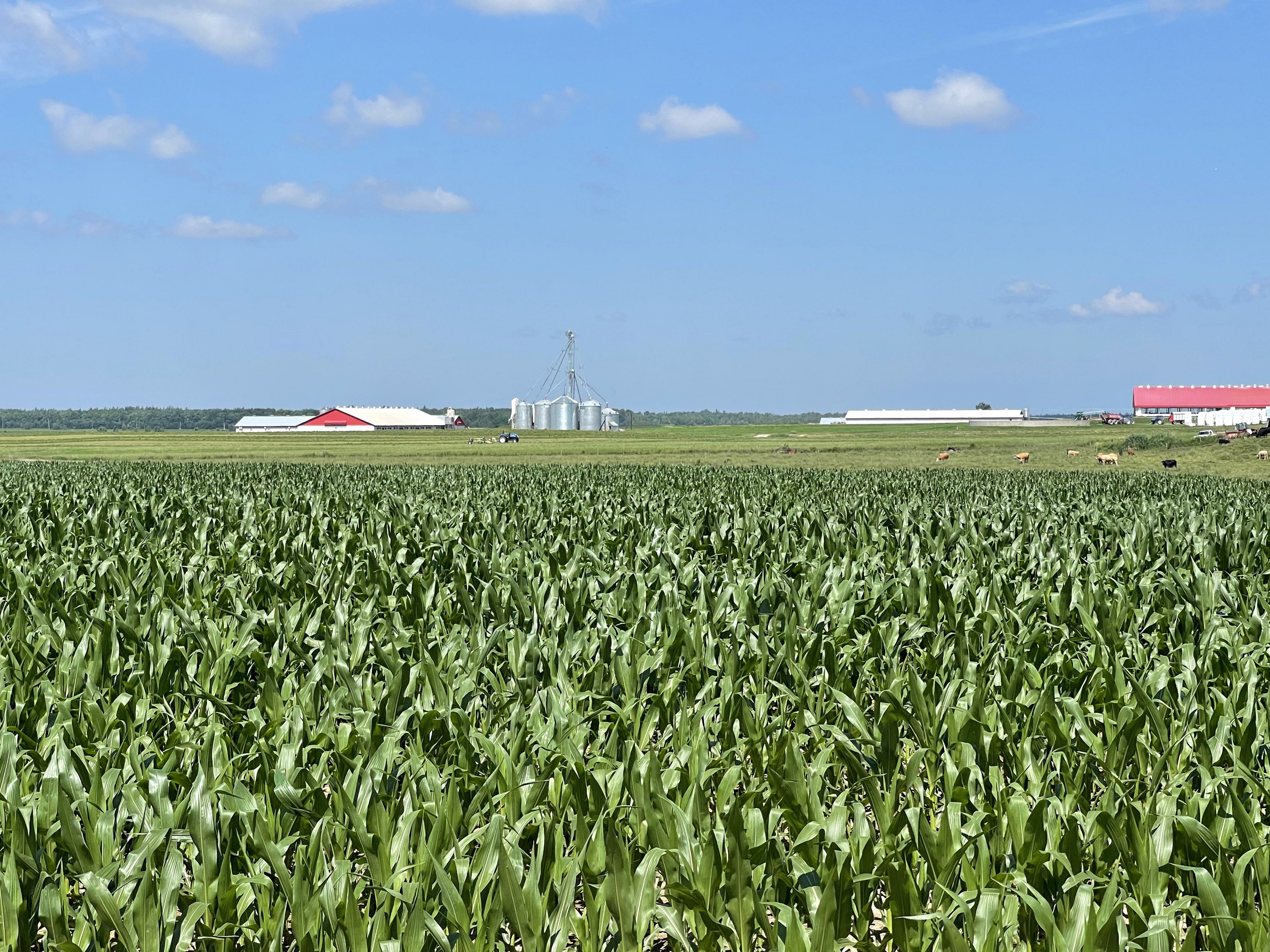 Les revenus agricoles en chute libre