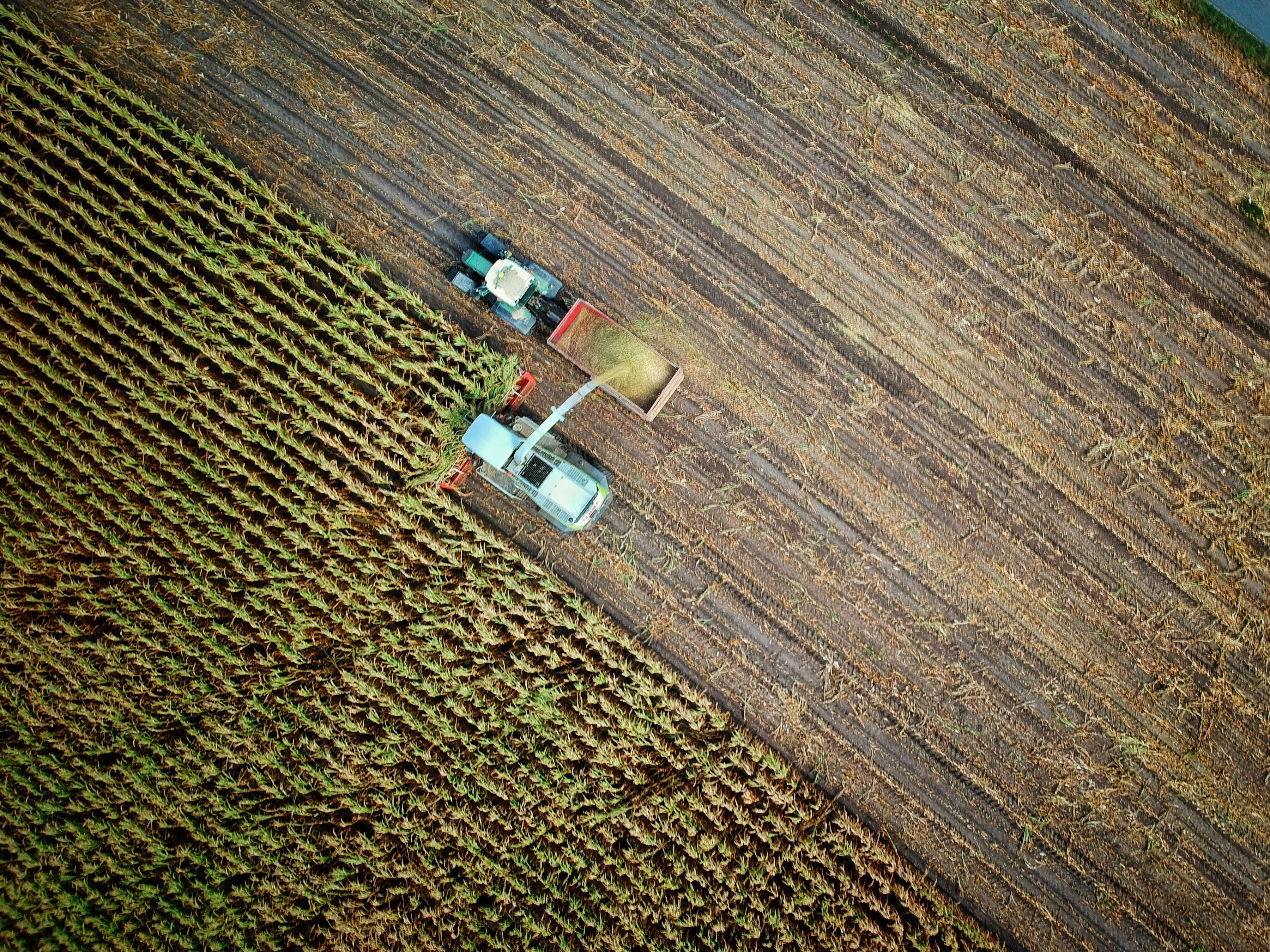 Le Prix de la relève agricole lancé